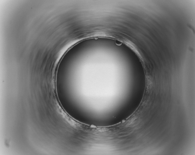 X0000102511148200808151540