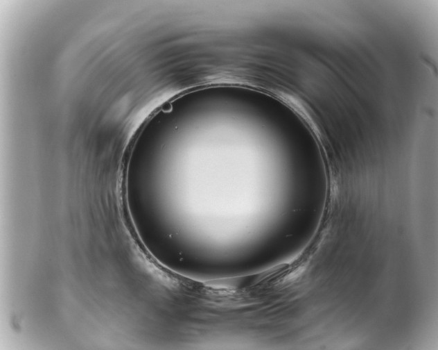 X0000102511149200808151540