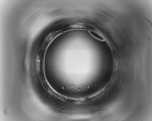 X0000102511151200808151540