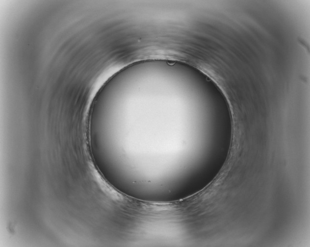 X0000102511152200808151540