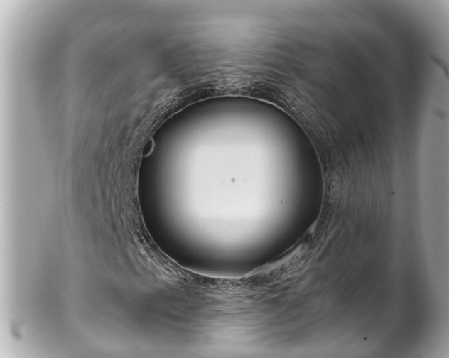 X0000102511153200808151539