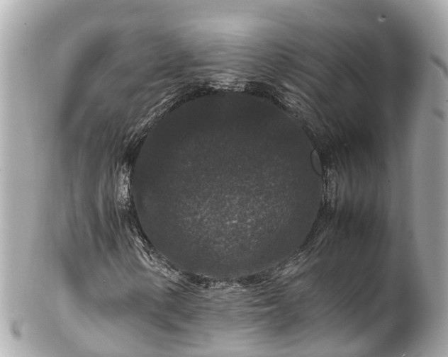 X0000102511154200808151539