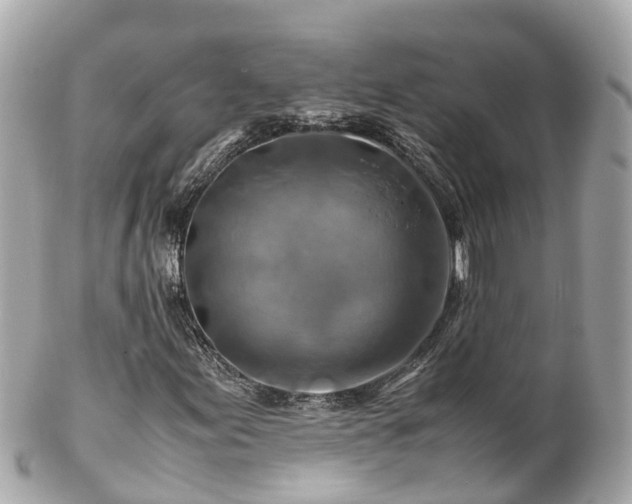 X0000102511155200808151539