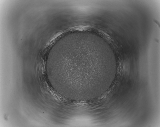 X0000102511158200808151539