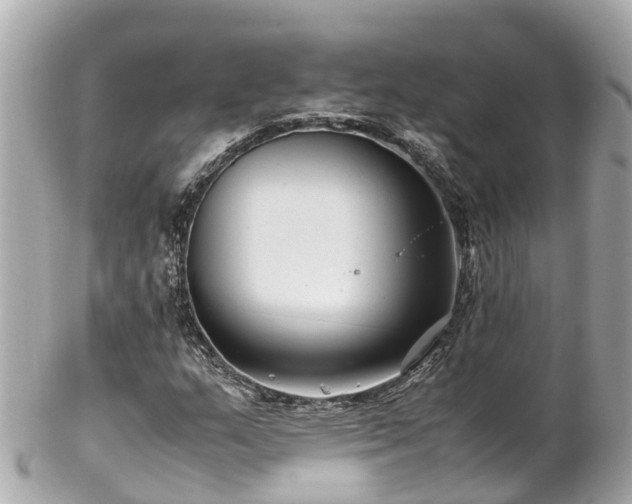 X0000102511159200808151539