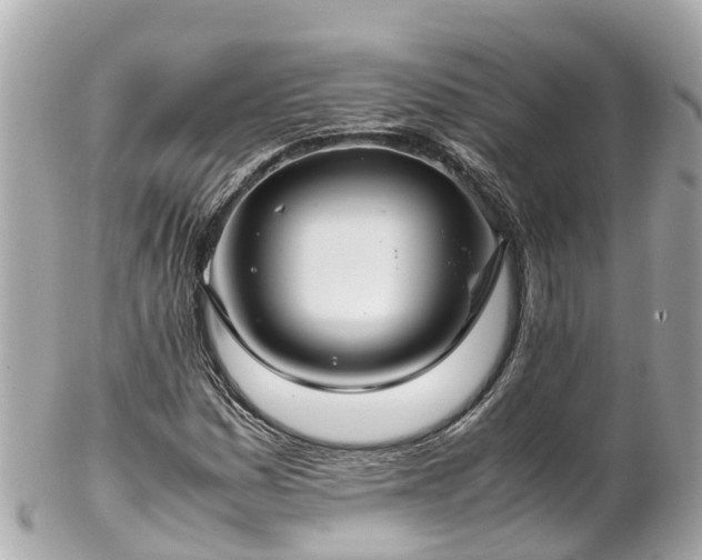 X0000102511161200808151539