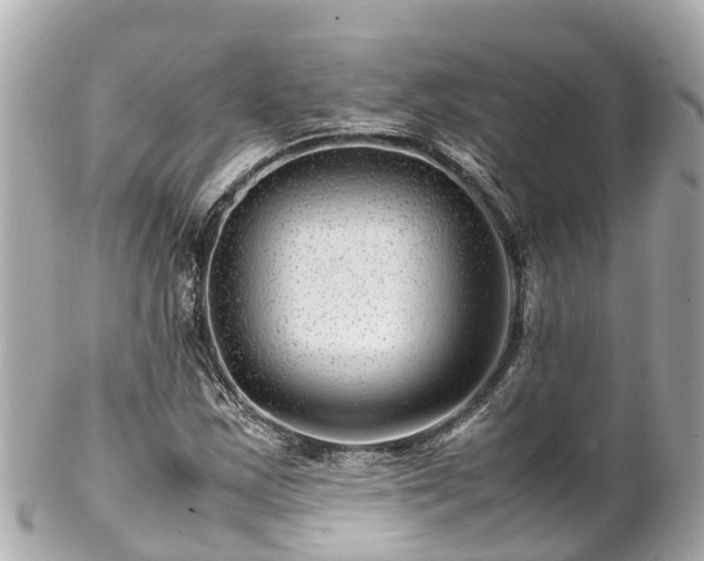 X0000102511163200808151539
