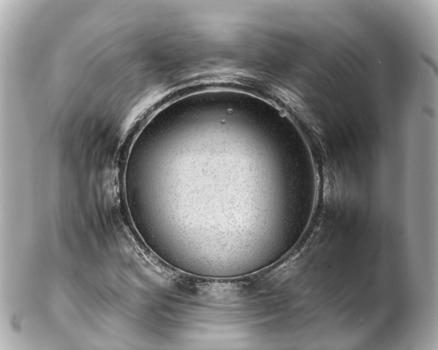 X0000102511164200808151539