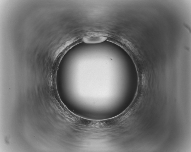 X0000102511165200808151539