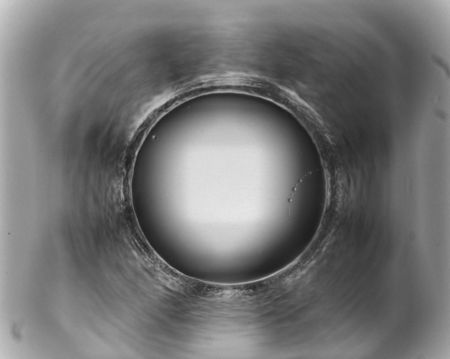 X0000102511166200808151539