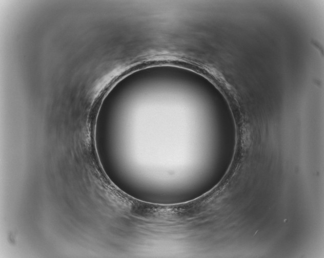 X0000102511167200808151539