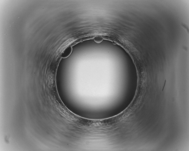 X0000102511169200808151539