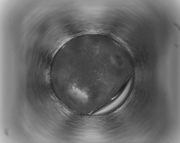 X0000102511170200808151539