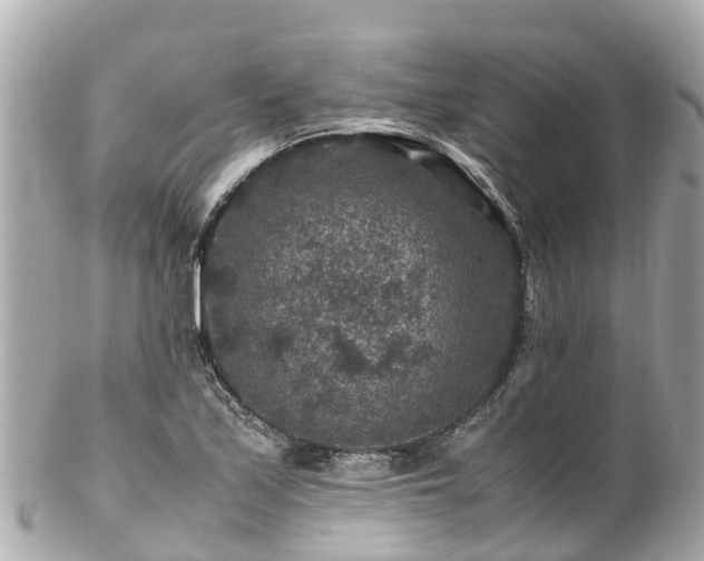 X0000102511171200808151539