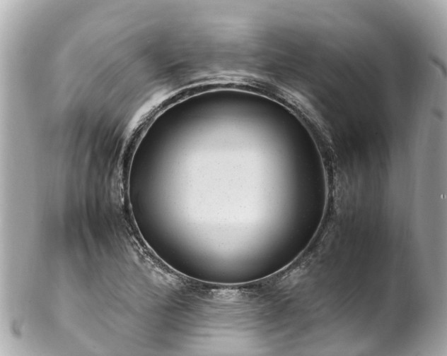 X0000102511172200808151539