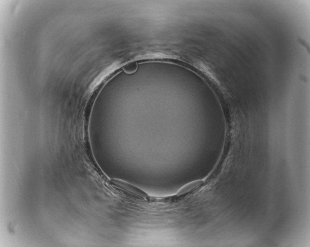 X0000102511173200808151539
