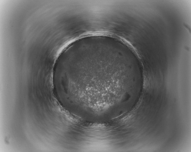 X0000102511174200808151539