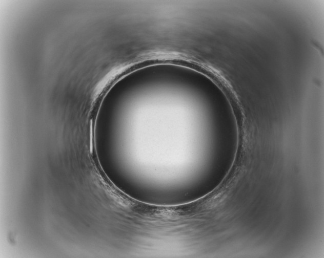 X0000102511175200808151539