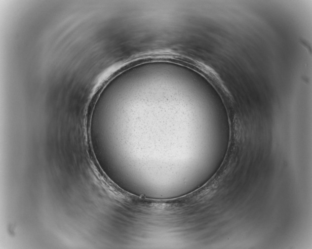 X0000102511176200808151539