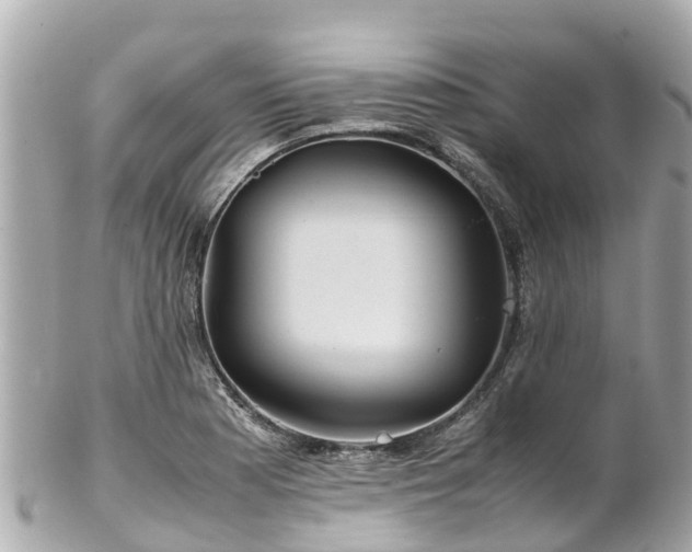 X0000102511177200808151539