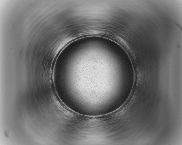 X0000102511178200808151539