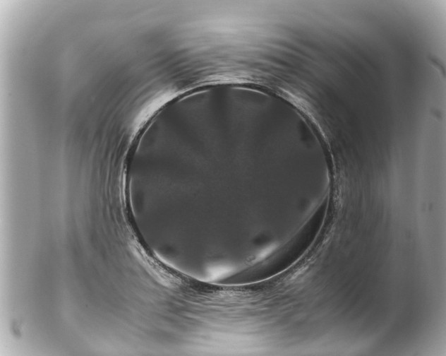 X0000102511179200808151539