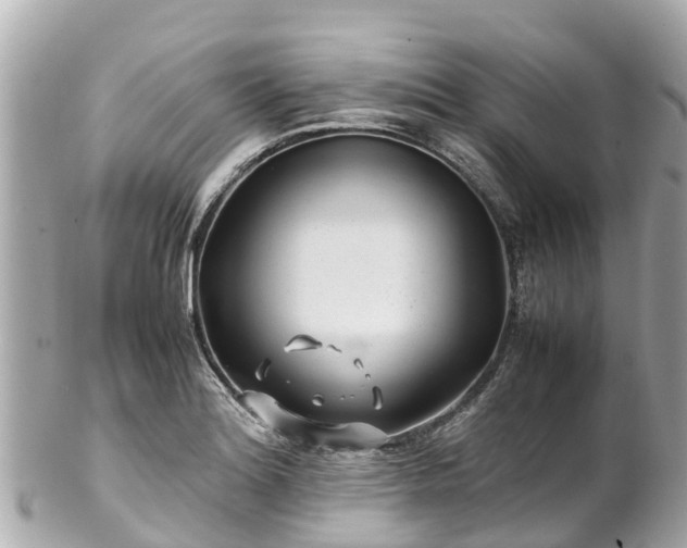 X0000102511180200808151539