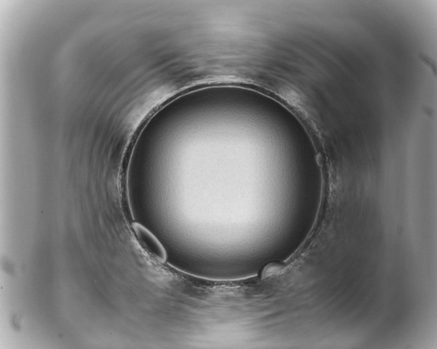 X0000102511181200808151538