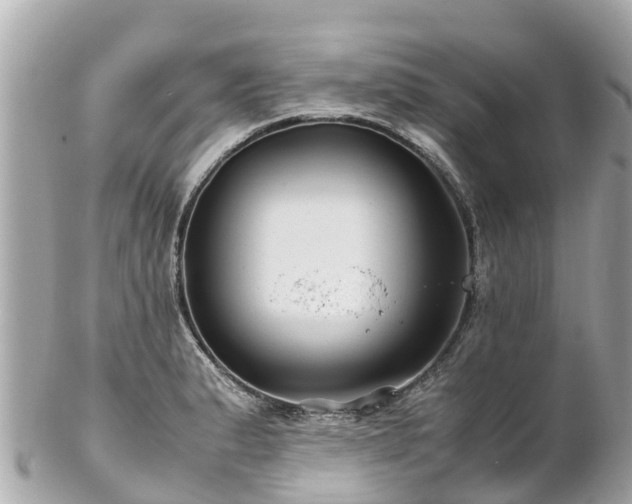 X0000102511183200808151538
