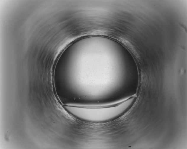 X0000102511184200808151538