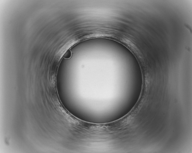 X0000102511185200808151538
