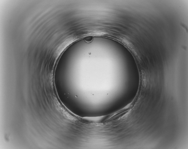 X0000102511186200808151538