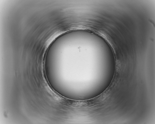 X0000102511187200808151538