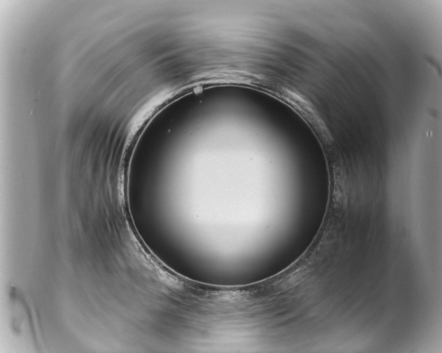 X0000102511188200808151538
