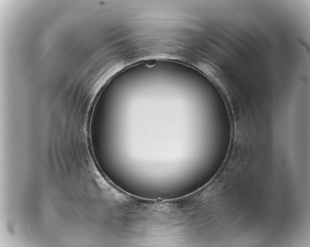 X0000102511189200808151538