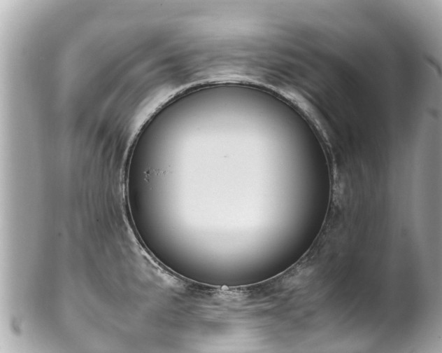 X0000102511191200808151538