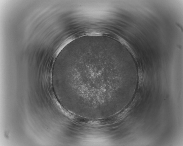X0000102511194200808151538
