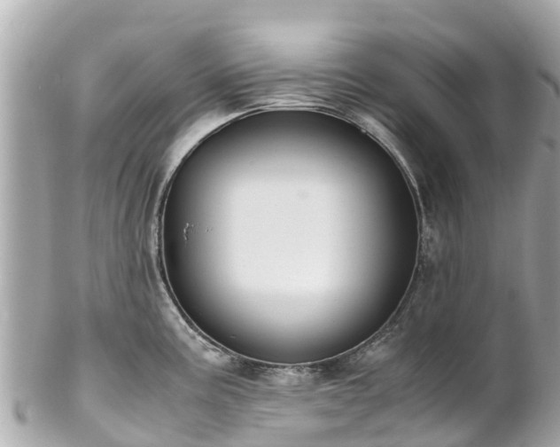 X0000102511195200808151538