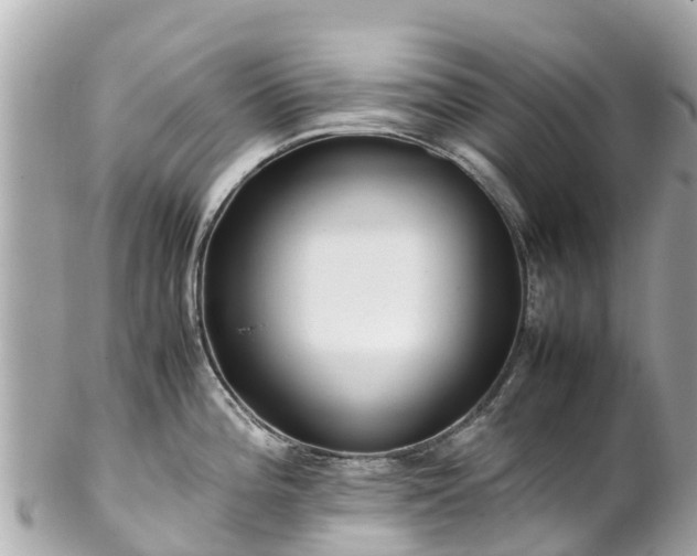 X0000102511196200808151538