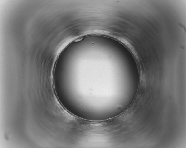 X0000102511199200808151538