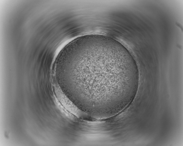 X0000102511200200808151538