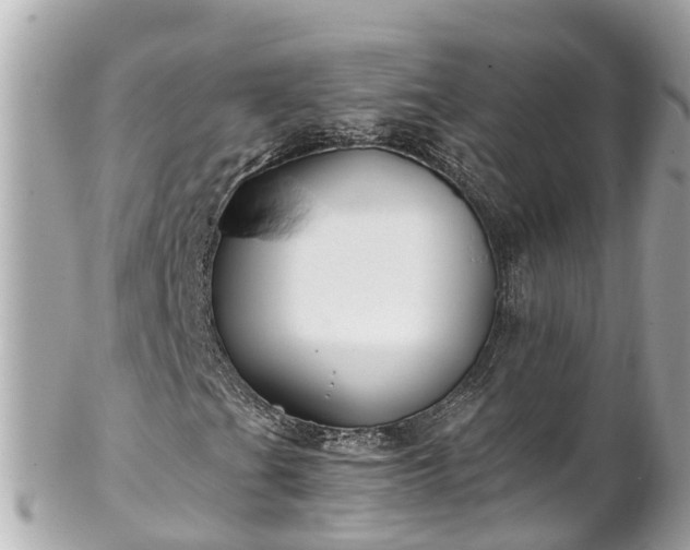 X0000102511201200808151538