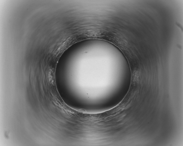 X0000102511202200808151538
