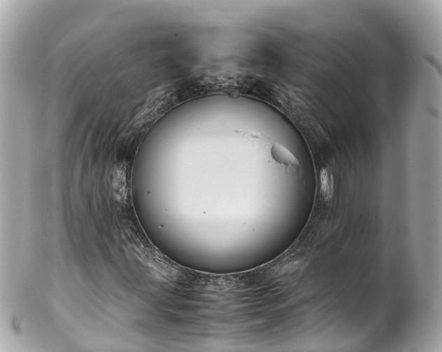 X0000102511203200808151538