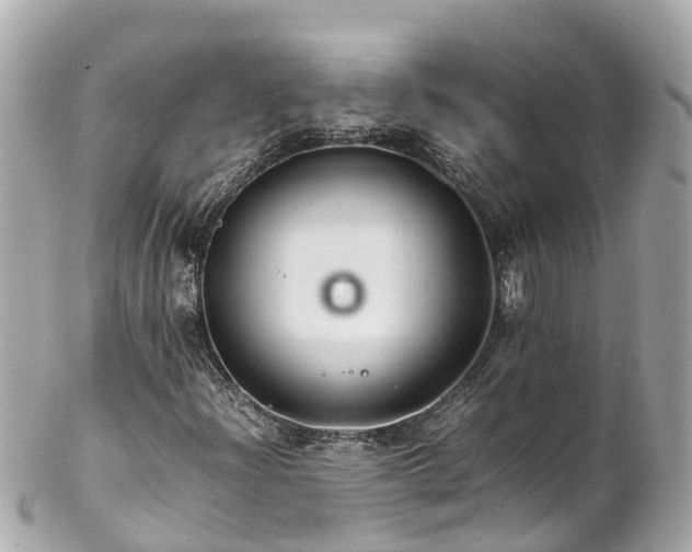 X0000102511204200808151538
