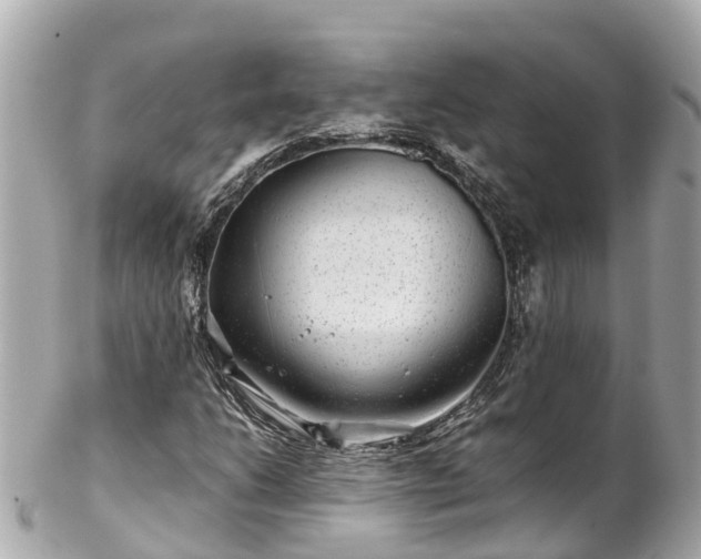 X0000102511206200808151538