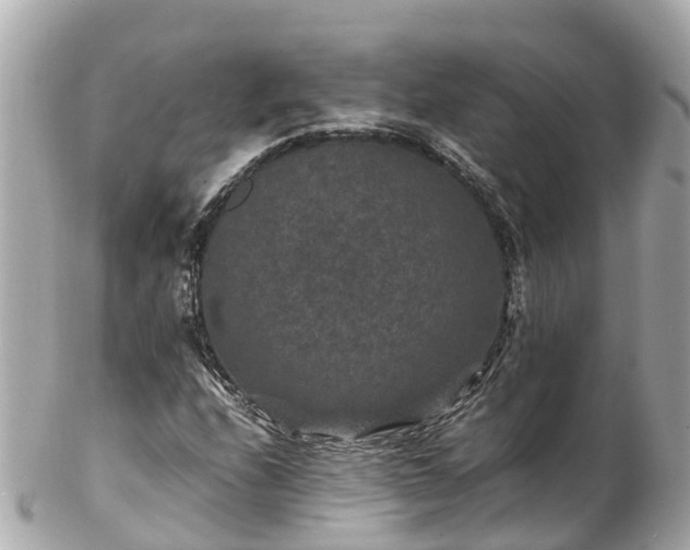 X0000102511208200808151538