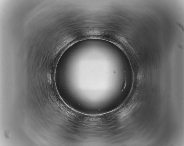 X0000102511209200808151538