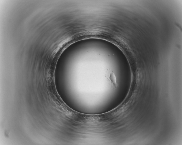 X0000102511210200808151538