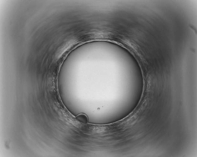 X0000102511211200808151538